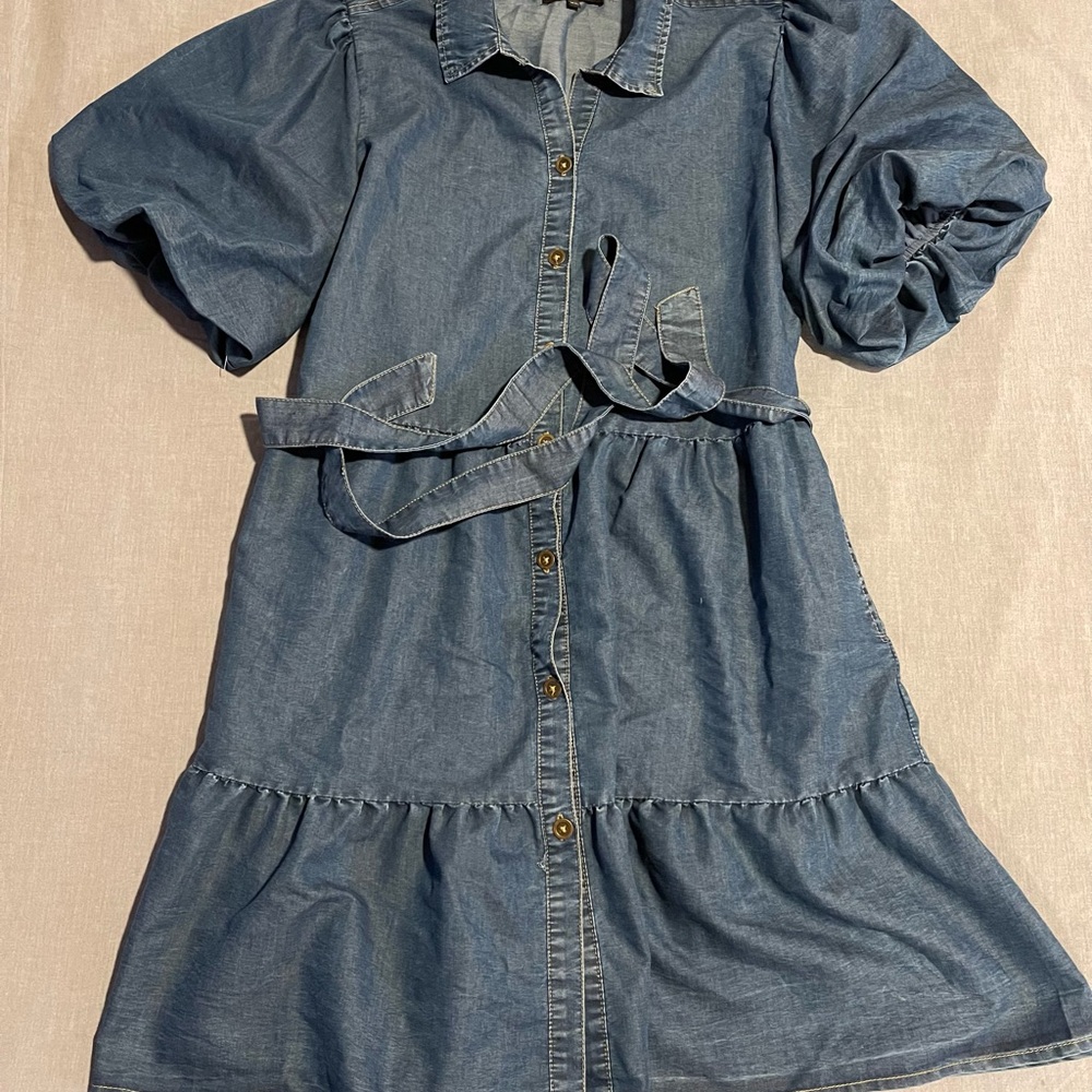 Hint of Blush Chambray Button Front Puff Sleeve Dress XL